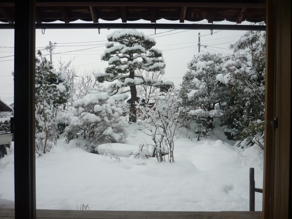 我が家の雪景色