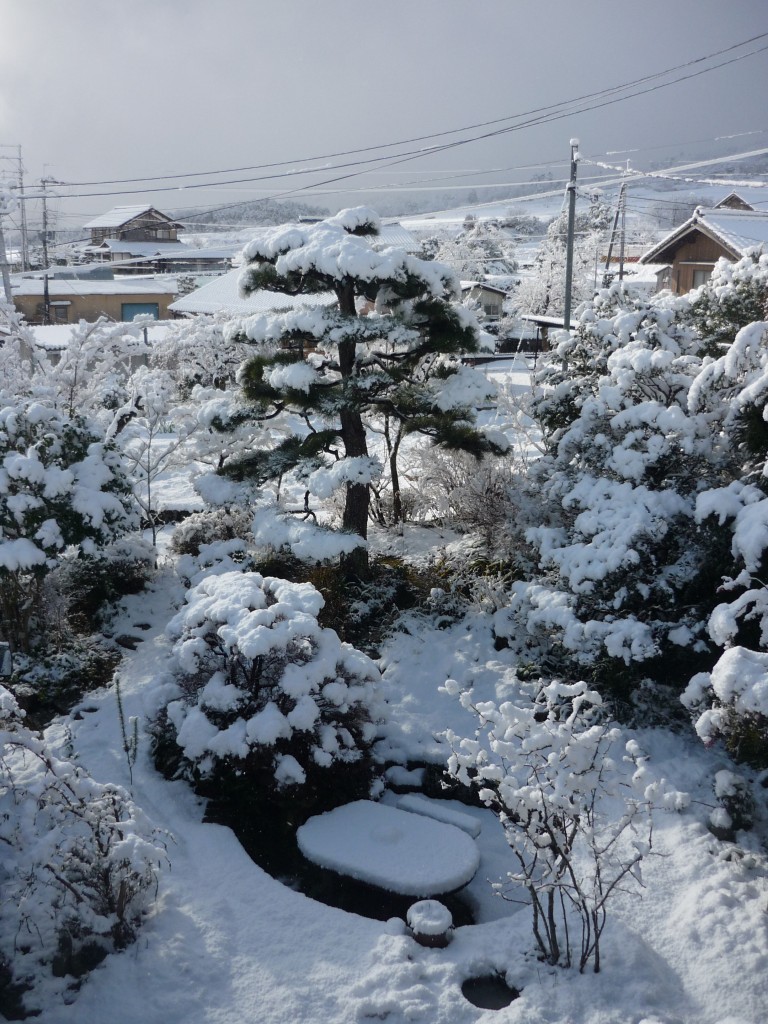 雪景色