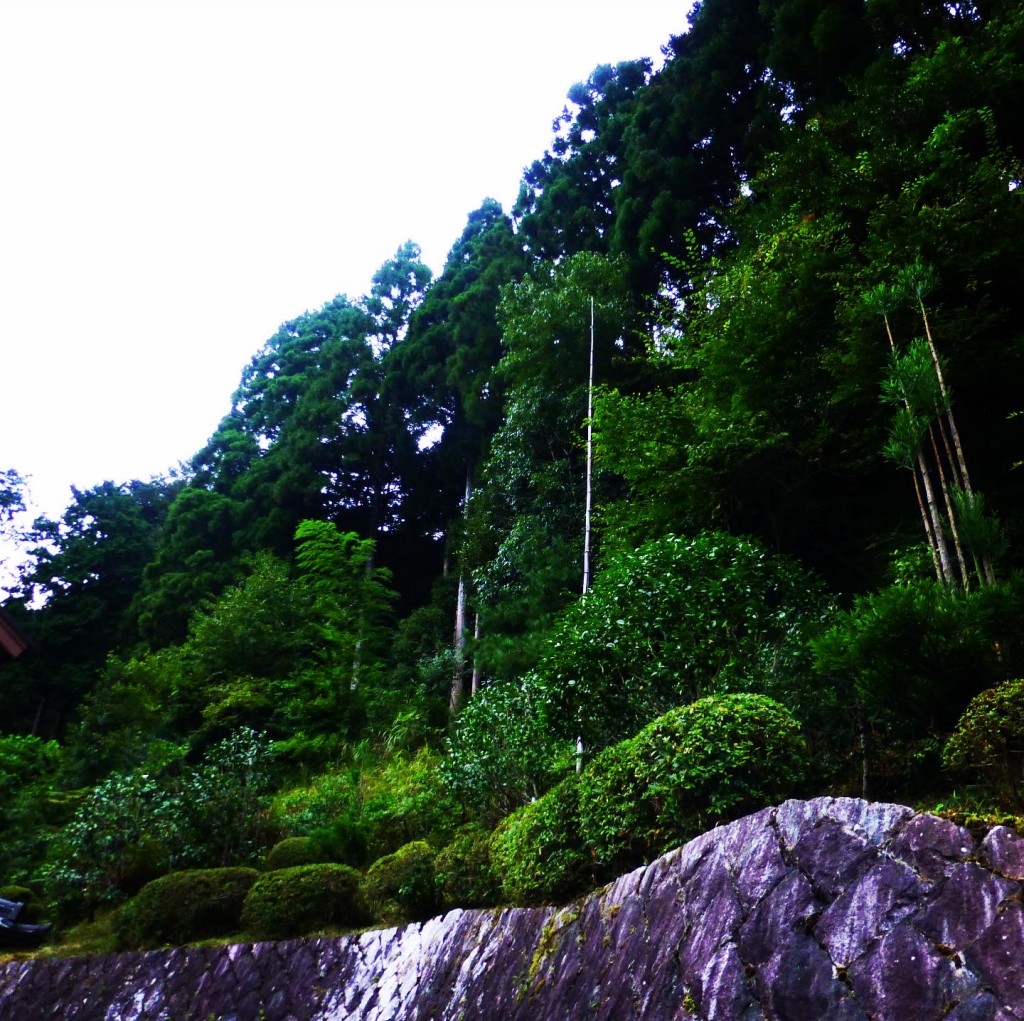 京都大原の庭